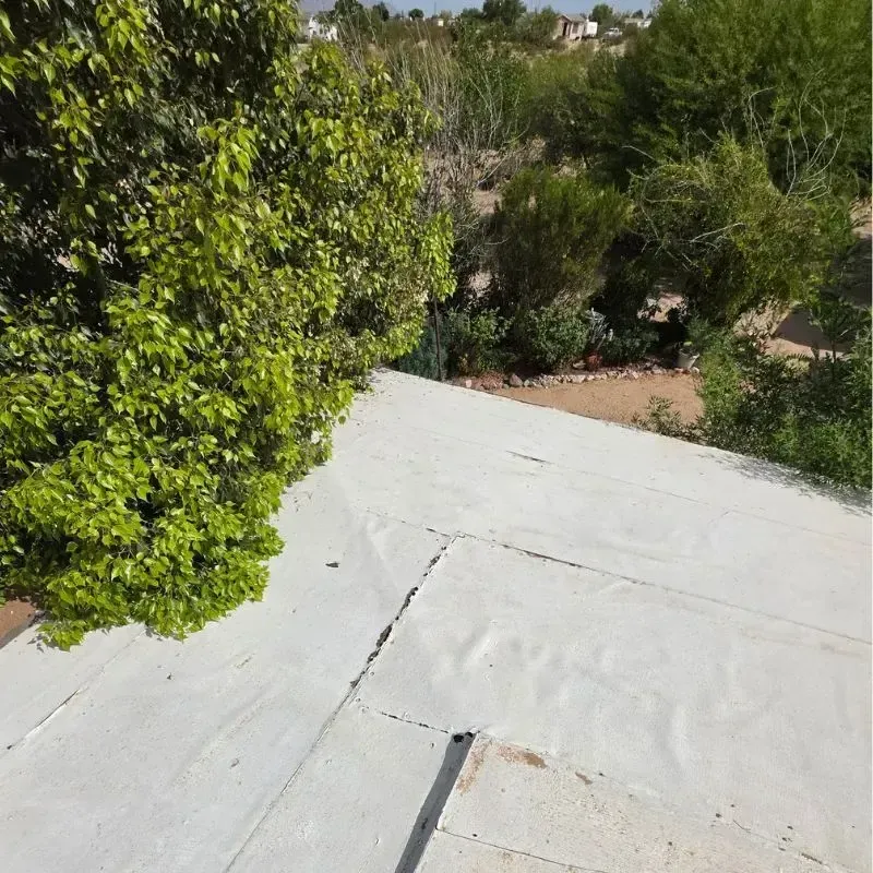 Tree Rubbing Against Roof Coating