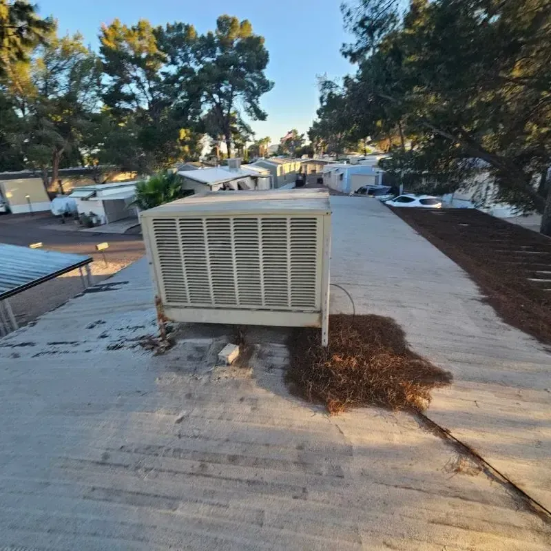 Leaves Accumulating on Coated Roof