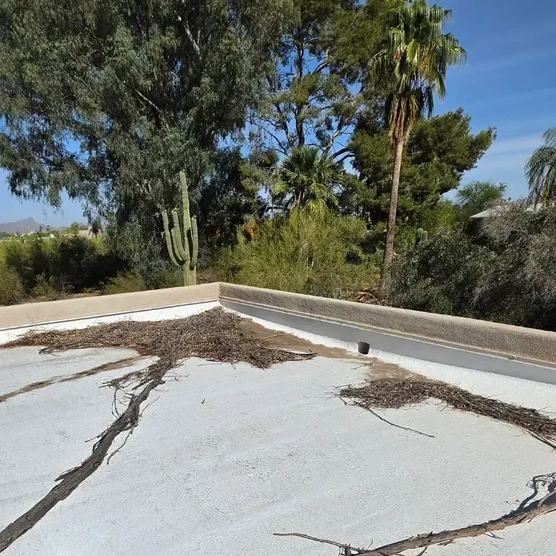 Roof Maintenance Plans for Coated Roofs