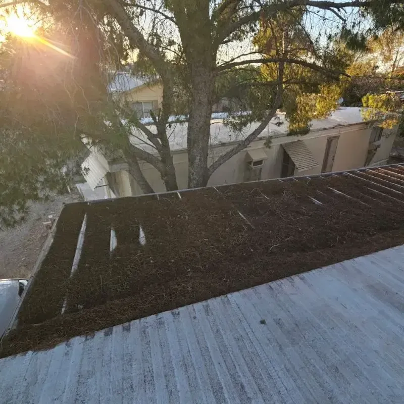 Trees Drop Leaves on Roof