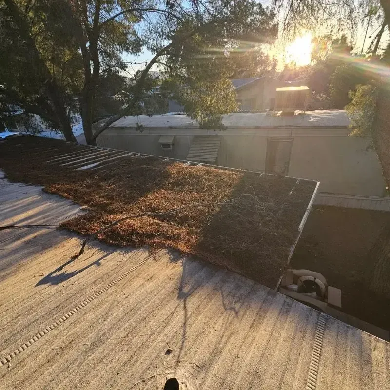 Debris on Coated Roof