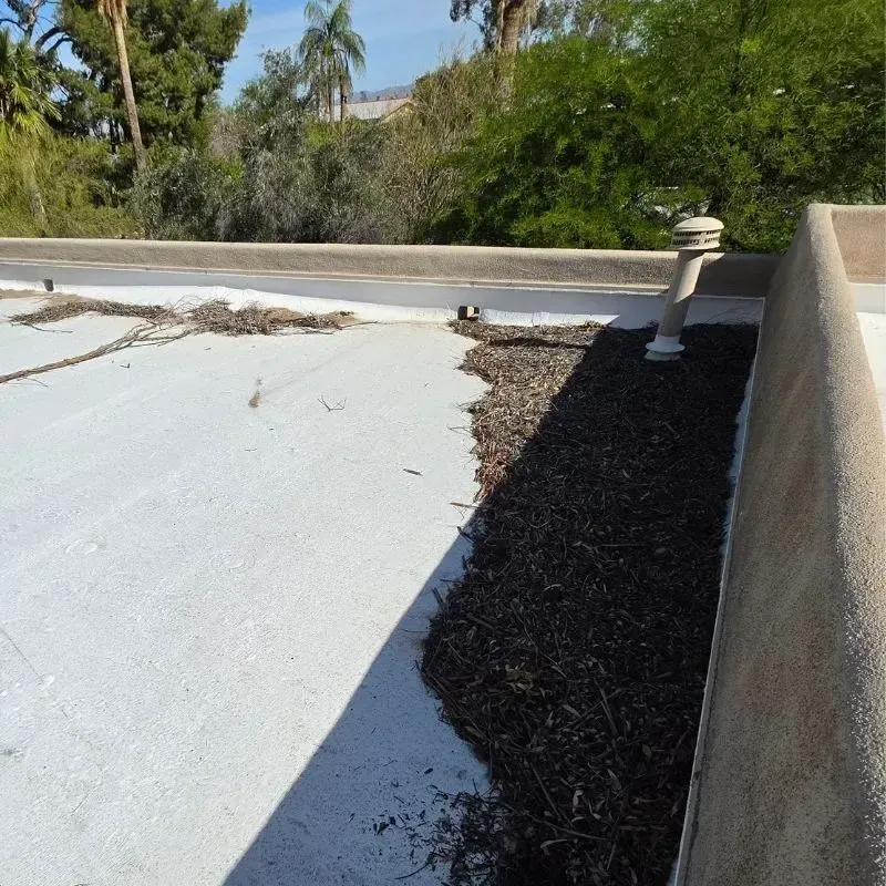 Roof Maintenance Includes Removing Leaves