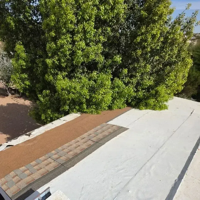 Trim Trees for Better Coated Roof Performance