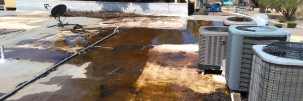 Ponding Water & Drainage Issues